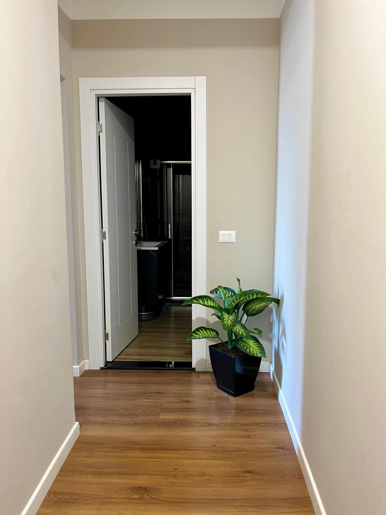 City Center Cozy Apartment Tiranë Eksteriør bilde